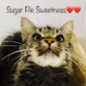 Meet your Posher, Minous